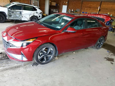 KMHLN4AJ2PU****** 2023 Hyundai Elantra