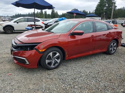 19XFC2F64LE****** 2020 Honda Civic