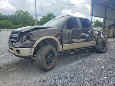 2007 Ford F-150