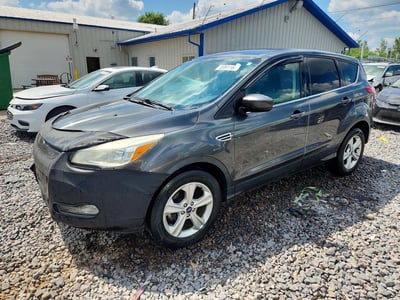 1FMCU0GX0GU****** 2016 Ford Escape