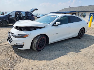 1G1ZD5ST1KF****** 2019 Chevrolet Malibu