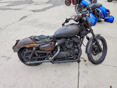 1HD1CGP146K****** 2006 Harley-Davidson XL 1200C