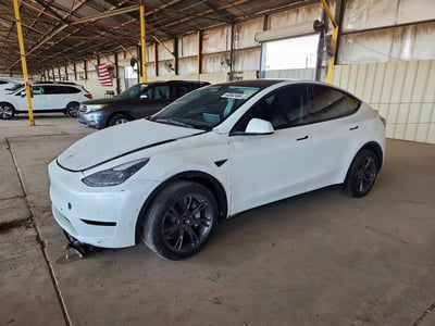 7SAYGDED1RF****** 2024 Tesla Model Y