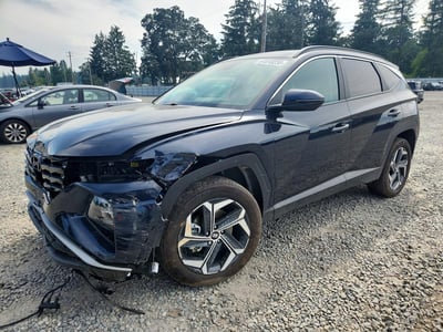 KM8JCCD17RU****** 2024 Hyundai Tucson