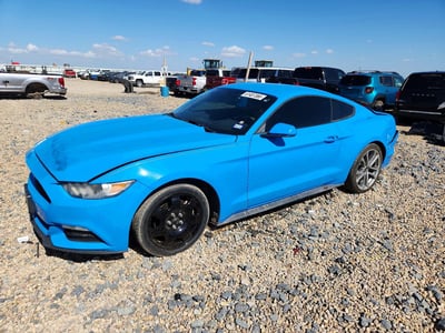 1FA6P8AM5H5****** 2017 Ford Mustang