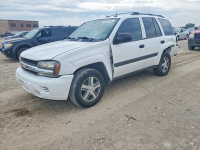 1GNDT13S752****** 2005 Chevrolet Trailblazer