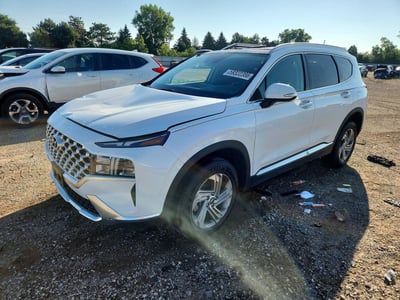 5NMS3DAJ6MH****** 2021 Hyundai Santa Fe