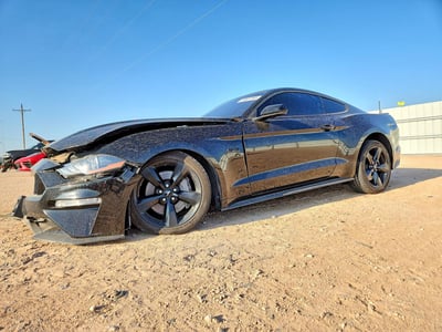 1FA6P8CF1M5****** 2021 Ford Mustang