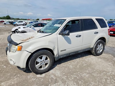 1FMCU0C78BK****** 2011 Ford Escape