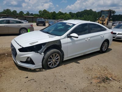 5NPE24AF7KH****** 2019 Hyundai Sonata