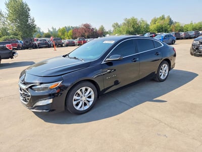 1G1ZD5ST1KF****** 2019 Chevrolet Malibu