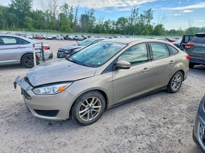 1FADP3F26GL****** 2016 Ford Focus