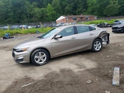1G1ZB5ST8RF****** 2024 Chevrolet Malibu