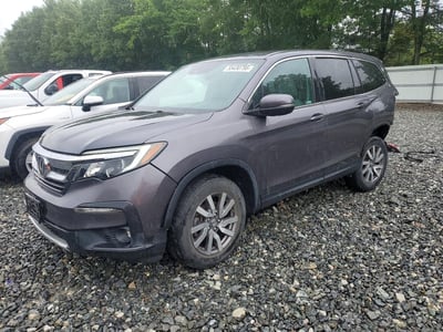 2019 Honda Pilot