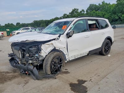 5XYP3DGC0RG****** 2024 Kia Telluride