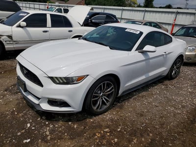 1FA6P8TH1H5****** 2017 Ford Mustang