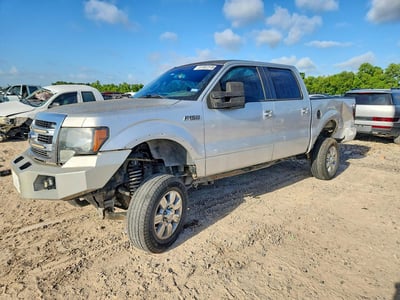 2010 Ford F-150