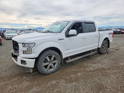 1FTEW1EG2HF****** 2017 Ford F-150