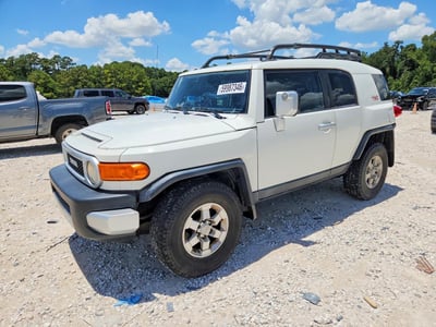 JTEZU4BF3AK****** 2010 Toyota FJ Cruiser