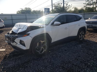 KM8JECD10RU****** 2024 Hyundai Tucson Hybrid