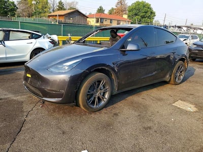 7SAYGDEEXRF****** 2024 Tesla Model Y