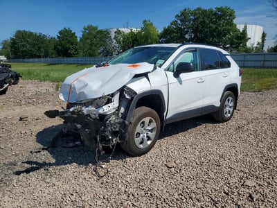 2T3F1RFV0KW****** 2019 Toyota RAV4