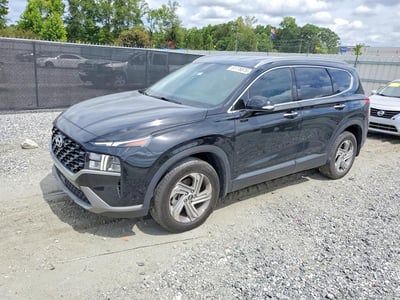 5NMS24AJ3PH****** 2023 Hyundai Santa Fe