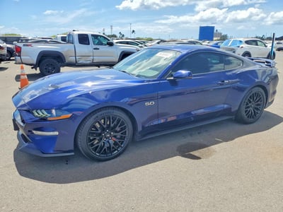 1FA6P8CF0K5****** 2019 Ford Mustang
