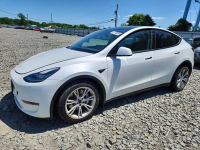 5YJYGDEE2MF****** 2021 Tesla Model Y