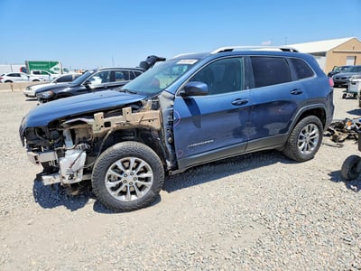1C4PJMLB5LD****** 2020 Jeep Cherokee