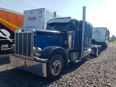 1XP5D69X0TN****** 1996 Peterbilt 379