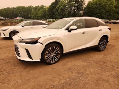 2T2BAMCAXRC****** 2024 Lexus RX