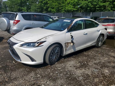 58ABZ1B10KU****** 2019 Lexus ES 350