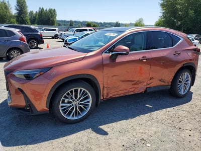 2026 Lexus NX