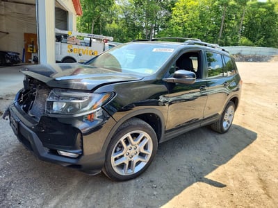 5FNYF8H53SB****** 2025 Honda Passport