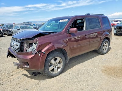 5FNYF48559B****** 2009 Honda Pilot