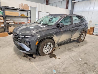 5NMJACDEXTH****** 2026 Hyundai Tucson