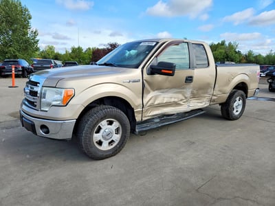1FTEX1EM9EF****** 2014 Ford F-150