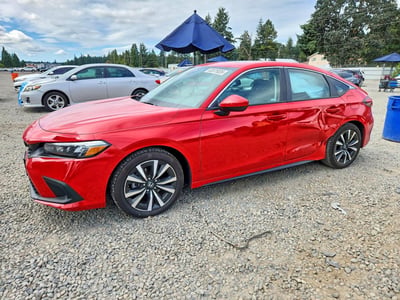 19XFL1H74RE****** 2024 Honda Civic