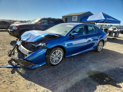4T1B11HKXKU****** 2019 Toyota Camry