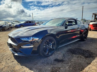 1FA6P8TH5P5****** 2023 Ford Mustang