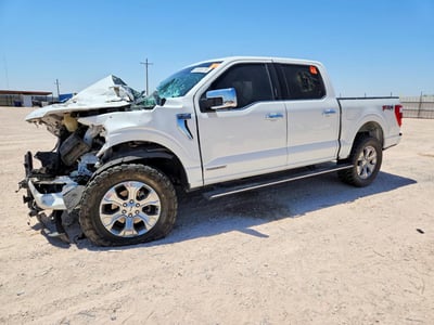 1FTFW1ED4PF****** 2023 Ford F-150