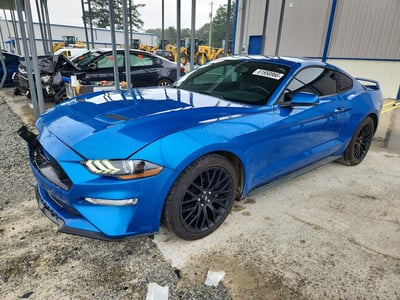 1FA6P8TH7K5****** 2019 Ford Mustang