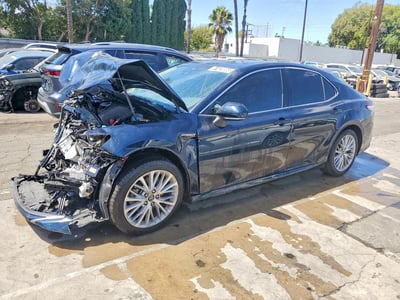 4T1F31AK3LU****** 2020 Toyota Camry