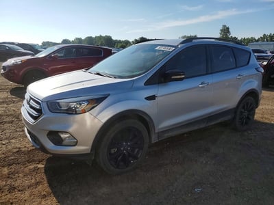 1FMCU0J99HU****** 2017 Ford Escape