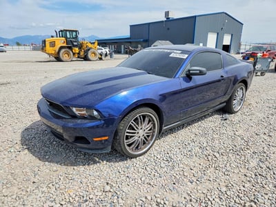 1ZVBP8AN3A5****** 2010 Ford Mustang