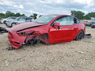 5YJYGDEEXMF****** 2021 Tesla Model Y
