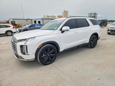 KM8R3DGE4SU****** 2025 Hyundai Palisade
