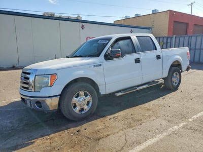 2010 Ford F-150