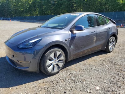 7SAYGDEEXPF****** 2023 Tesla Model Y